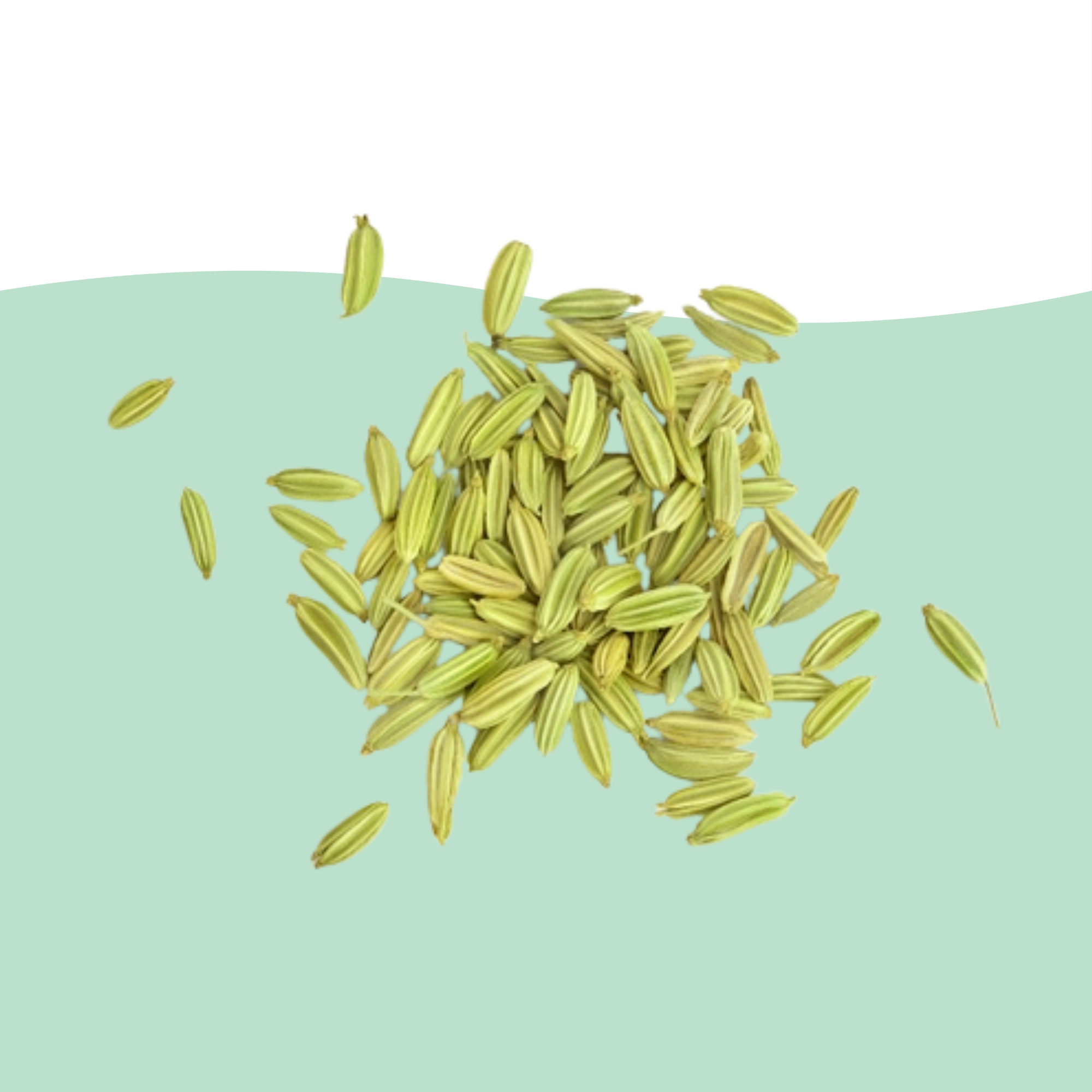 Fennel Seed Extract